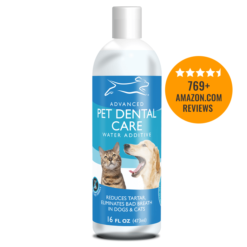 Pet Water Additive Dental Care Emmy s Best Pet Products