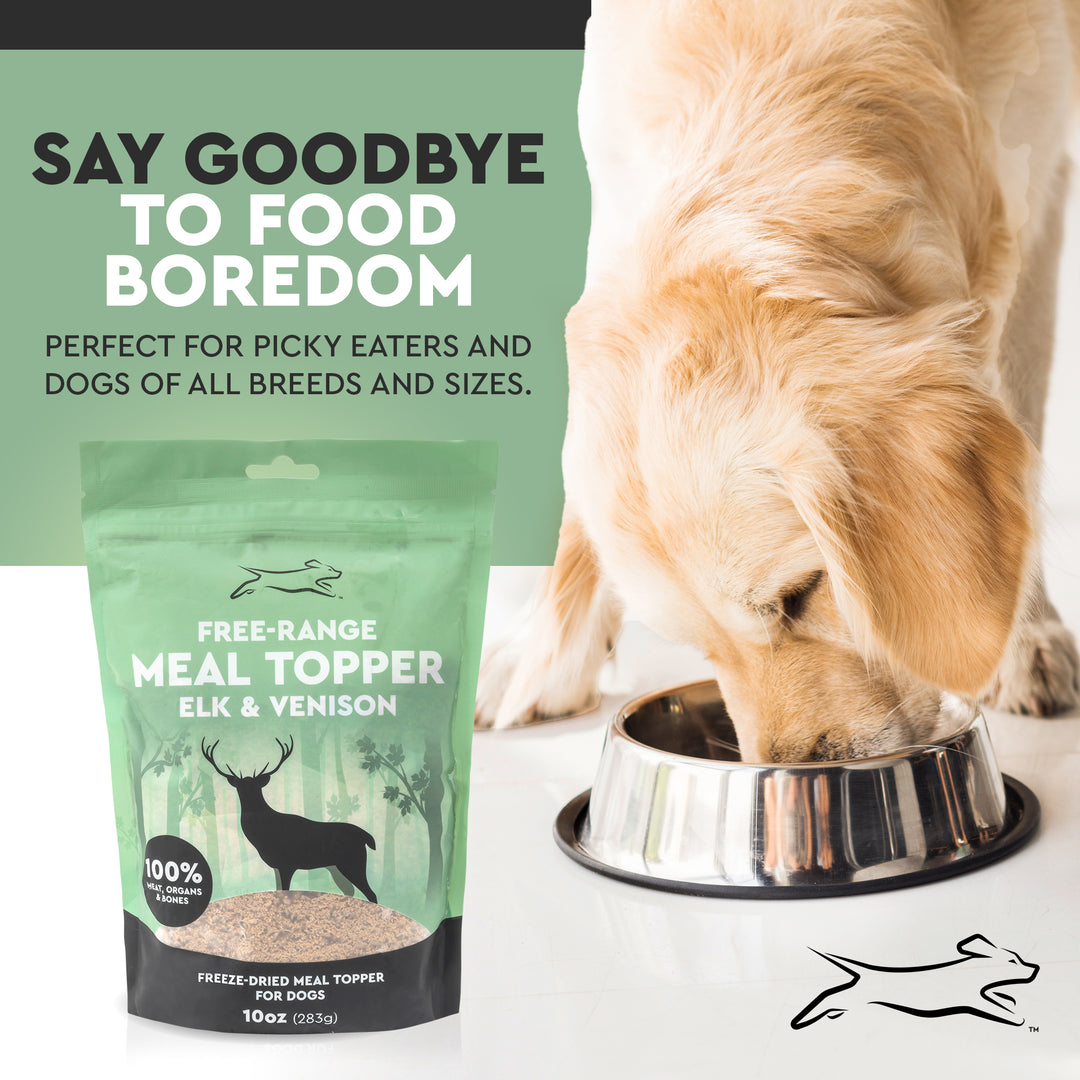 Best freeze dried dog food topper hotsell