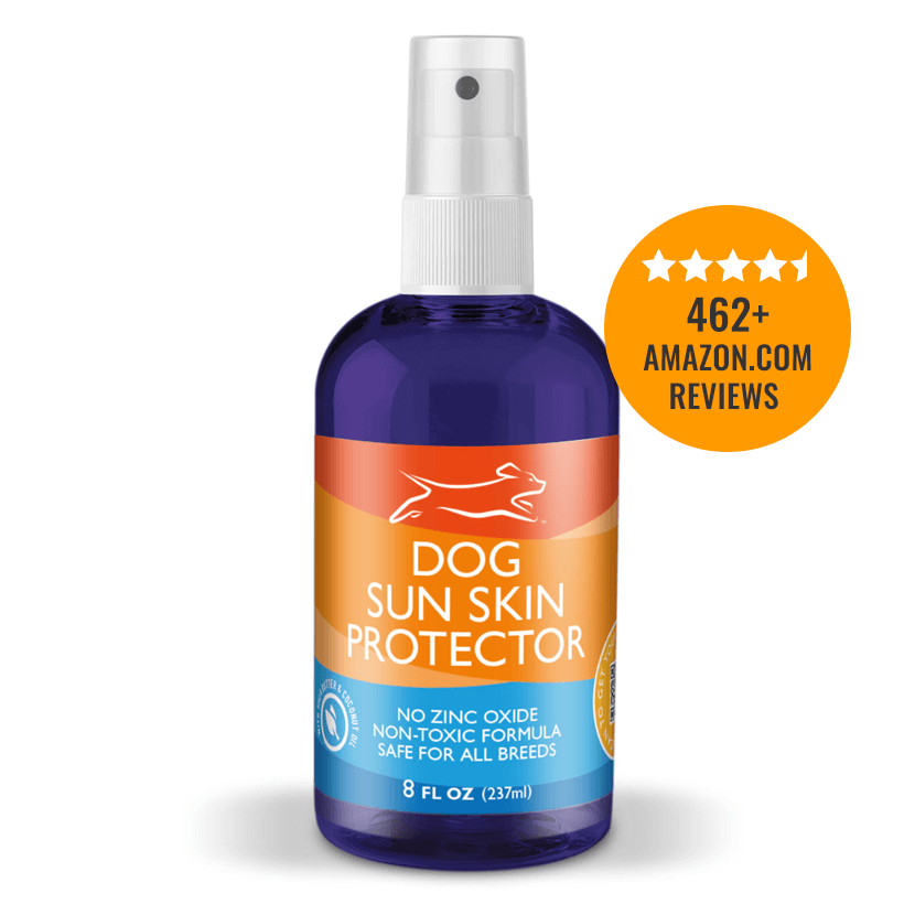 Zinc oxide top safe for dogs