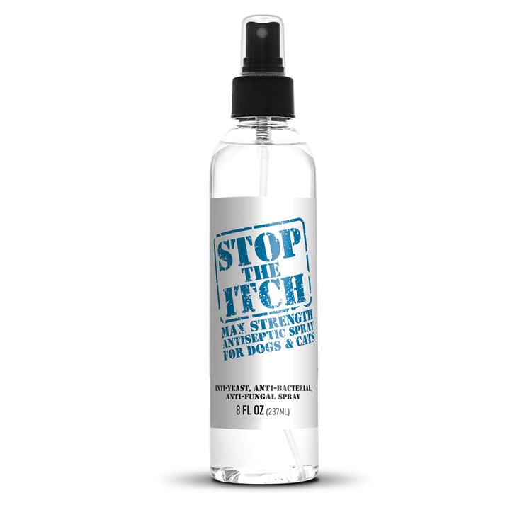 Diy dog anti itch spray best sale